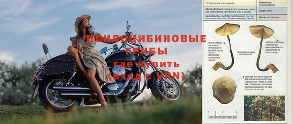 молекула духа Абаза