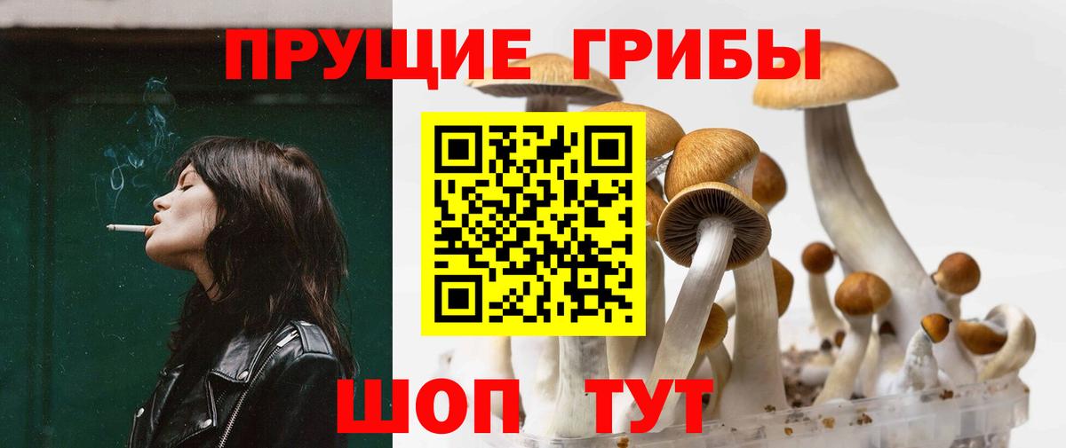 Псилоцибиновые грибы Psilocybe  Вход с VPN  Ханты-Мансийск  Галлюциногенные грибы Psilocybe 